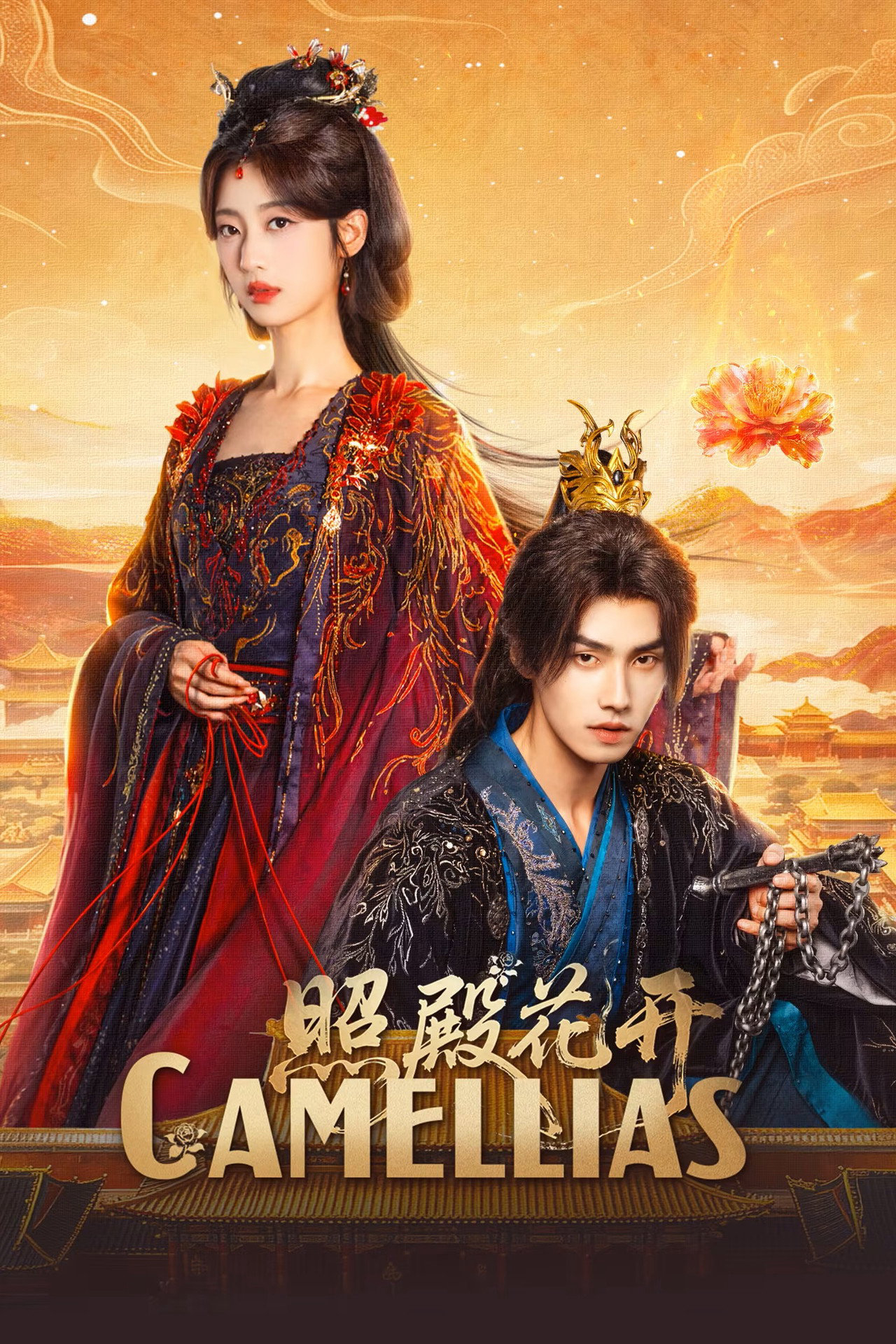 Xem Phim Chiếu Điện Hoa Khai Vietsub HD Online